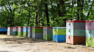 Δίκτυο Τοπικής Επιχειρηματικότητας: Η νέα πρωτοβουλία της Ελληνικός Χρυσός για την ενίσχυση της τοπικής οικονομίας του Δήμου Αριστοτέλη